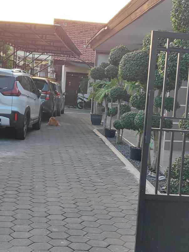 dijual kost jalan ikan jrabangan