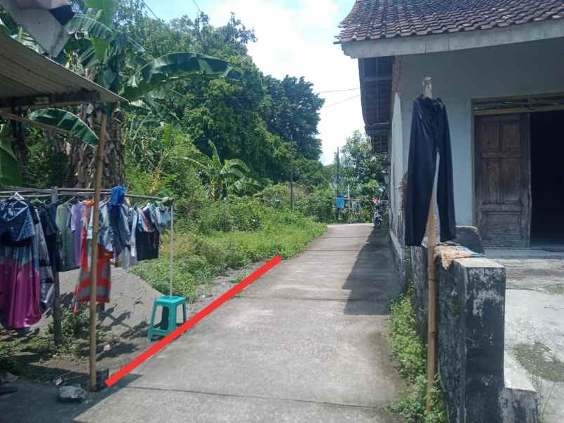 dijual pekarangan murah di berbah