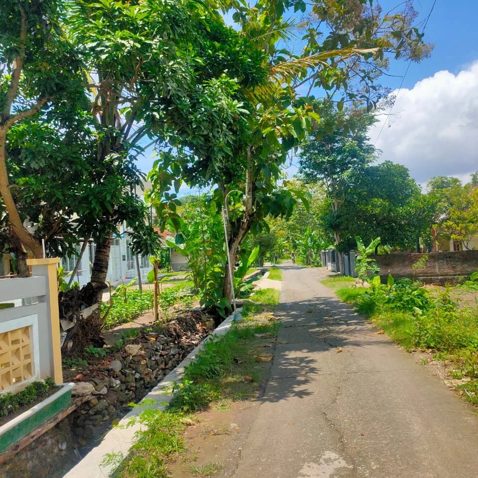 dijual rumah 200 meter jl bibis