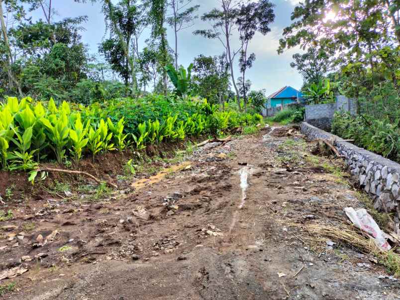 dijual rumah bulusan selatan