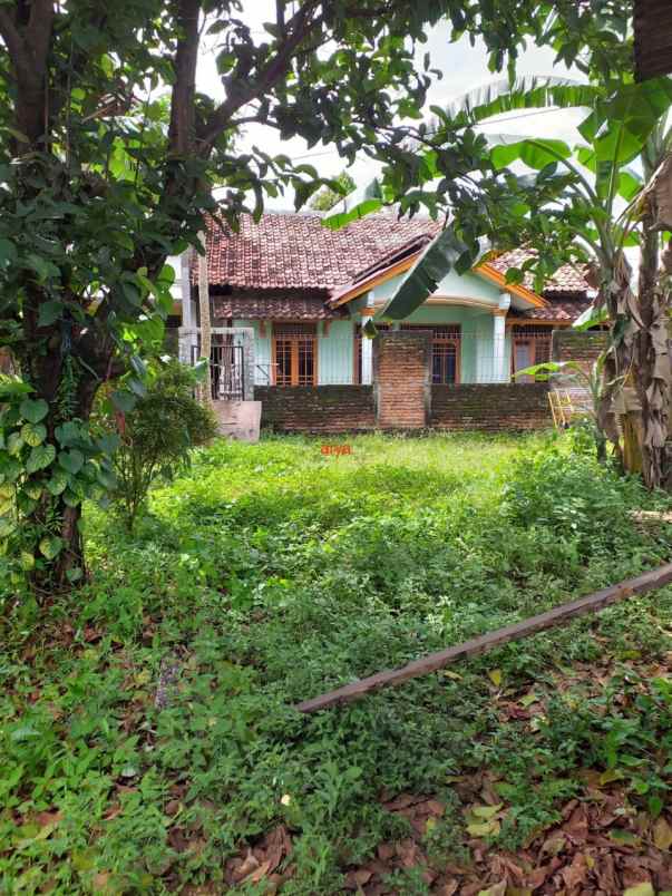 dijual rumah cimaja asem rt 003 rw 002