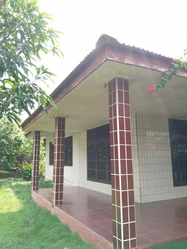 dijual rumah jalan melur