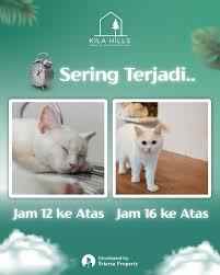 dijual rumah jl cendrawasih tajurhalang