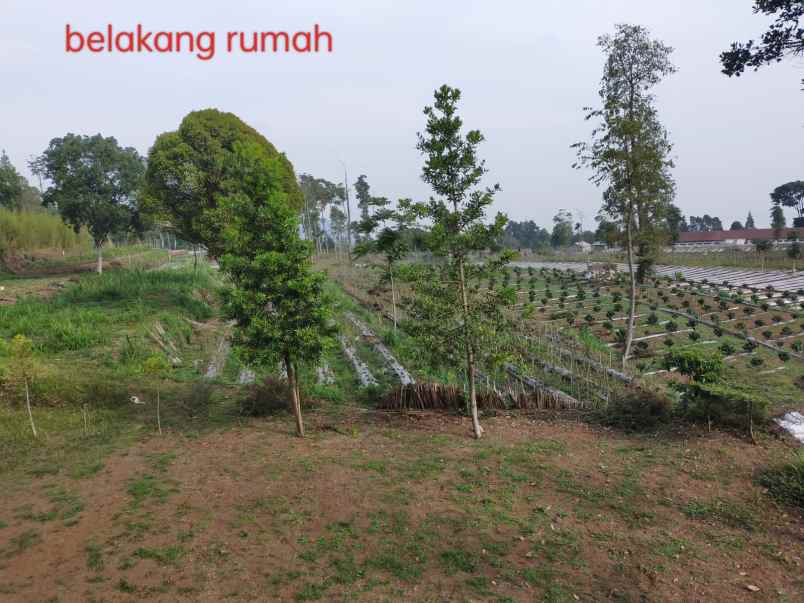 dijual rumah kelapa gading