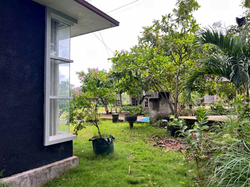 dijual rumah siap huni 1300m mojogedang karanganyar