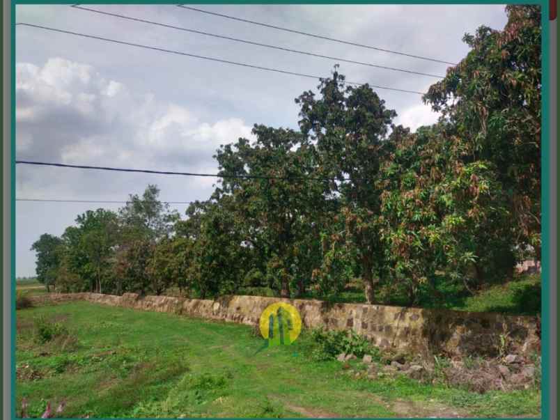 dijual tanah babakan jaya