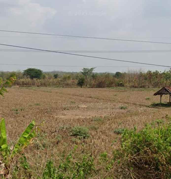 dijual tanah blok sawah lega cikanyere