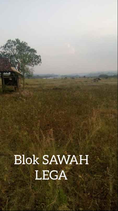 dijual tanah blok sawah lega cikanyere