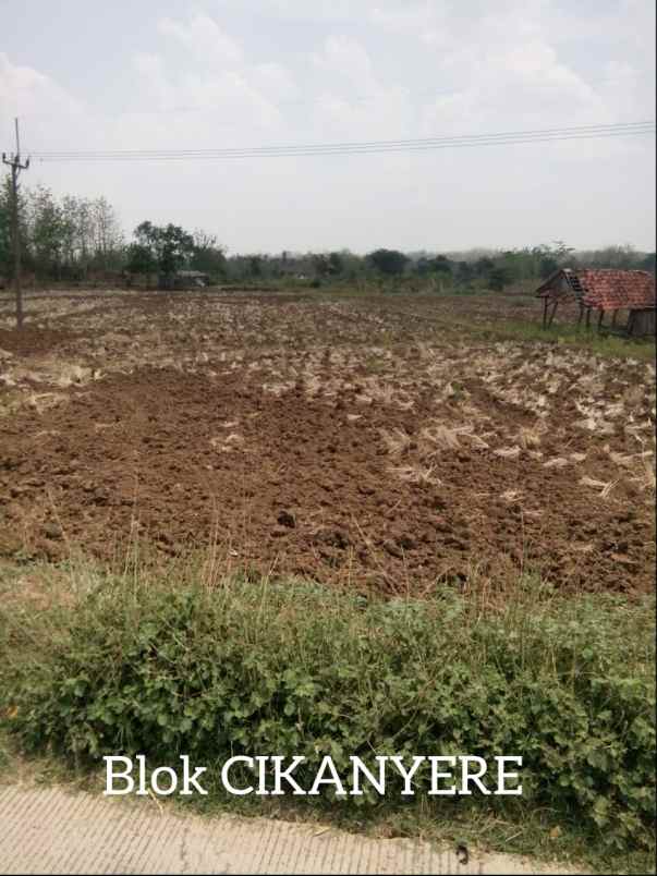 dijual tanah blok sawah lega cikanyere