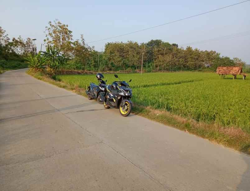 dijual tanah blok sawah lega cikanyere