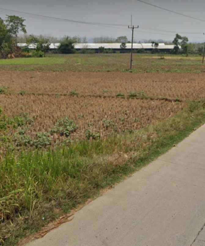 dijual tanah blok sawah lega cikanyere