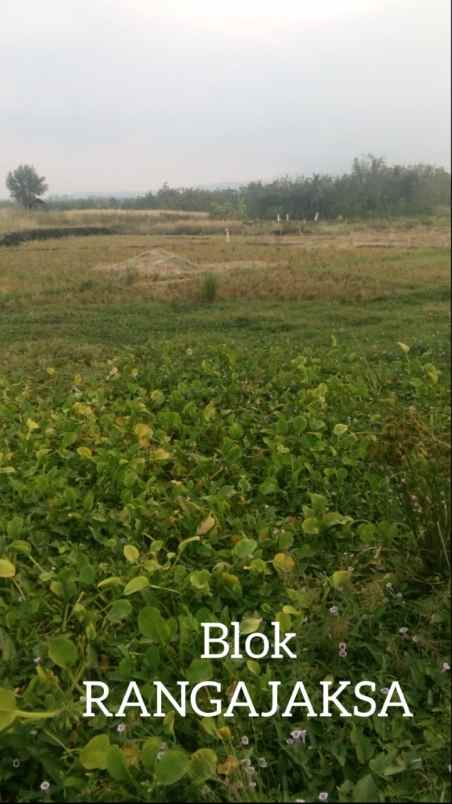 dijual tanah blok sawah lega cikanyere