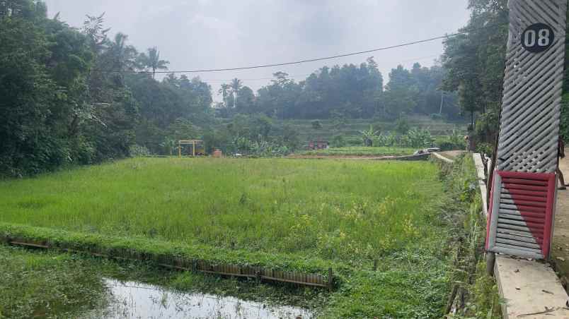 dijual tanah bojong