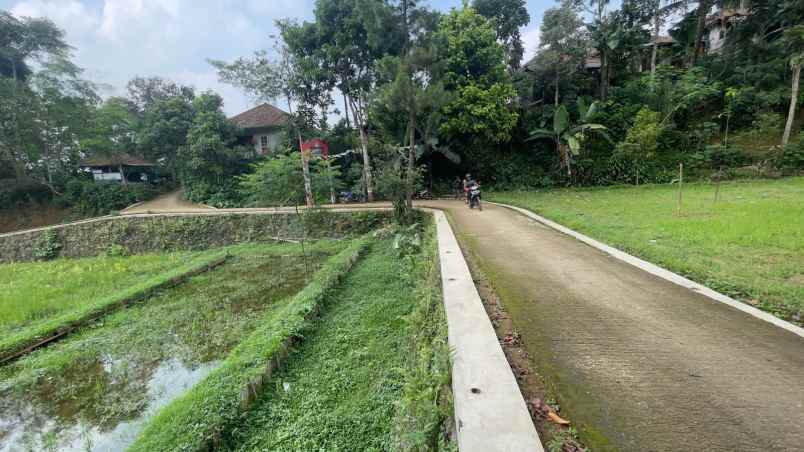 dijual tanah bojong