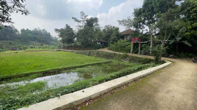 dijual tanah bojong