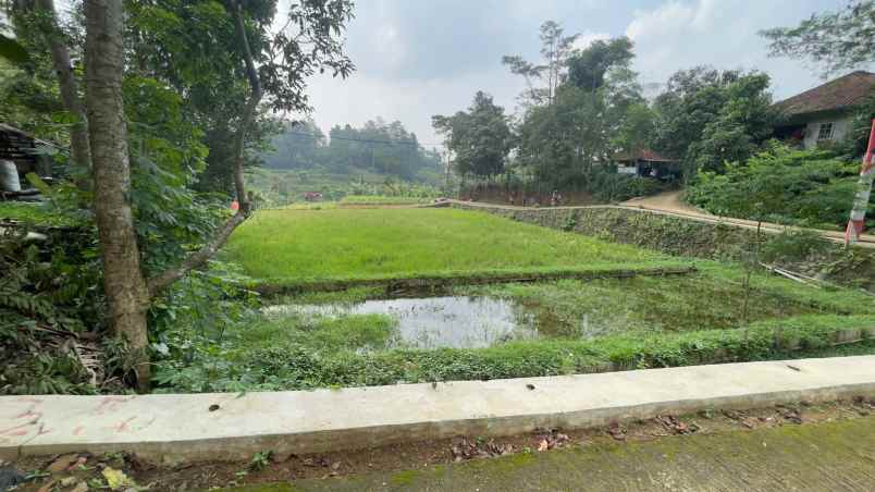 dijual tanah bojong