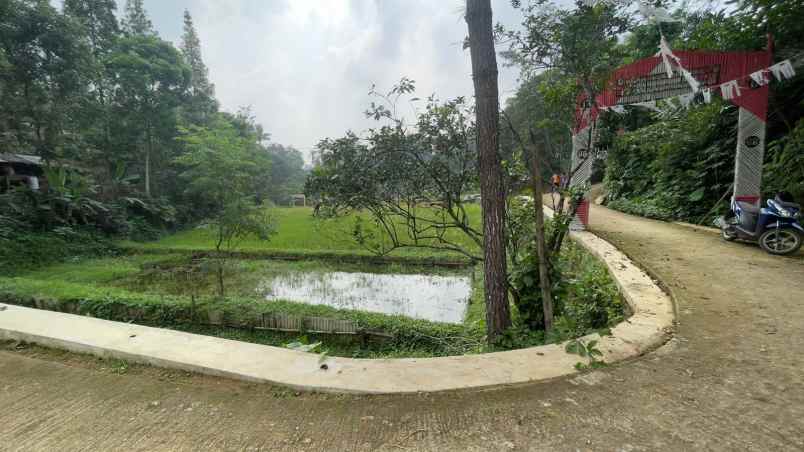 dijual tanah bojong