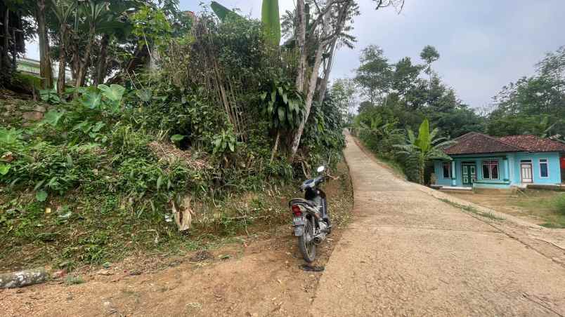 dijual tanah bojong