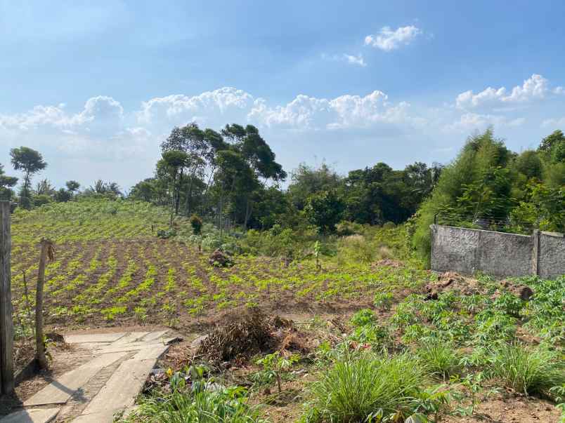 dijual tanah bojong koneng termurah best view