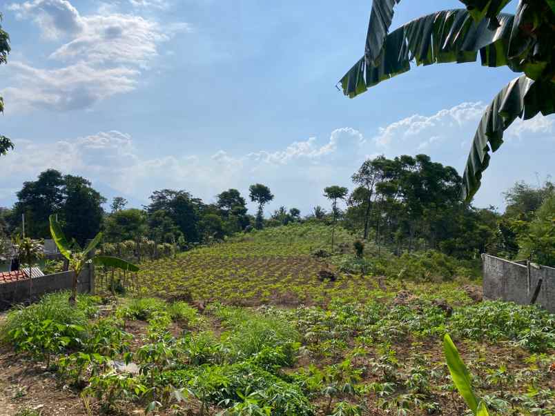 dijual tanah bojong koneng termurah best view