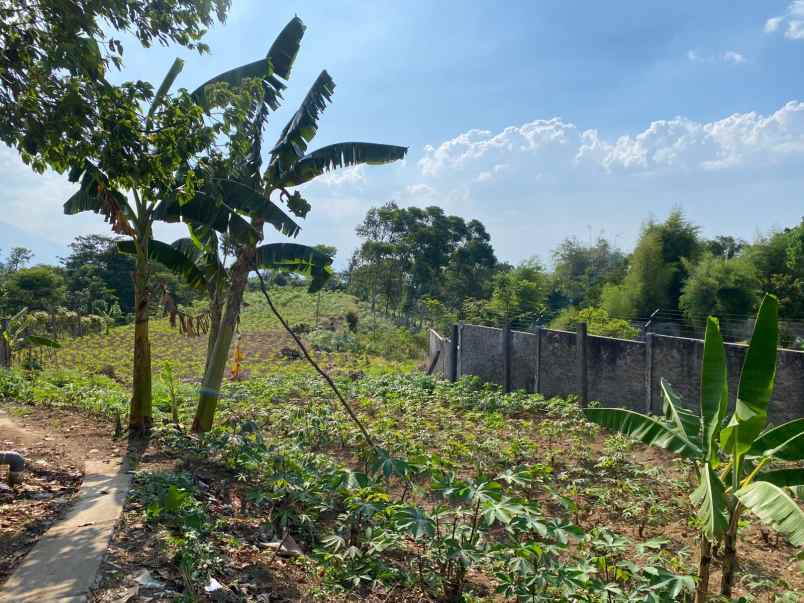 dijual tanah bojong koneng termurah best view