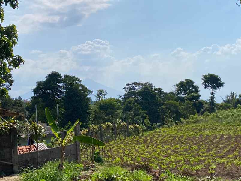 dijual tanah bojong koneng termurah best view