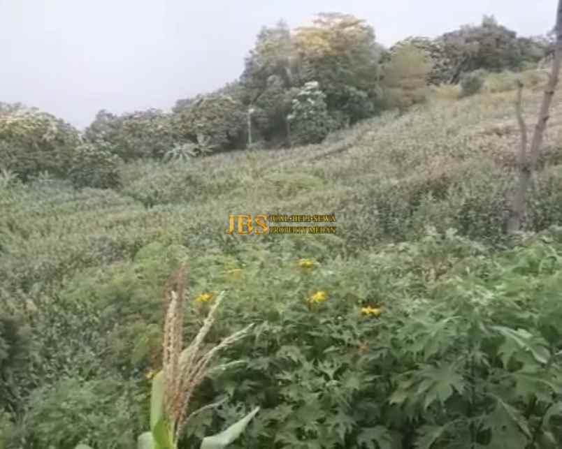 dijual tanah desa martoba simanindo