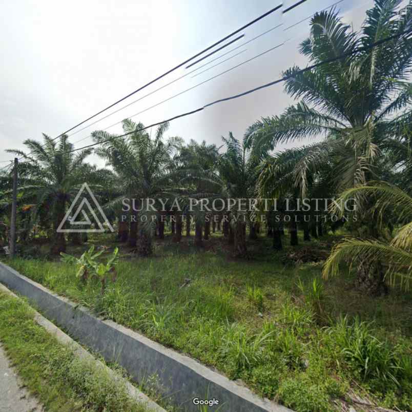 dijual tanah di jalan pinang dua stabat