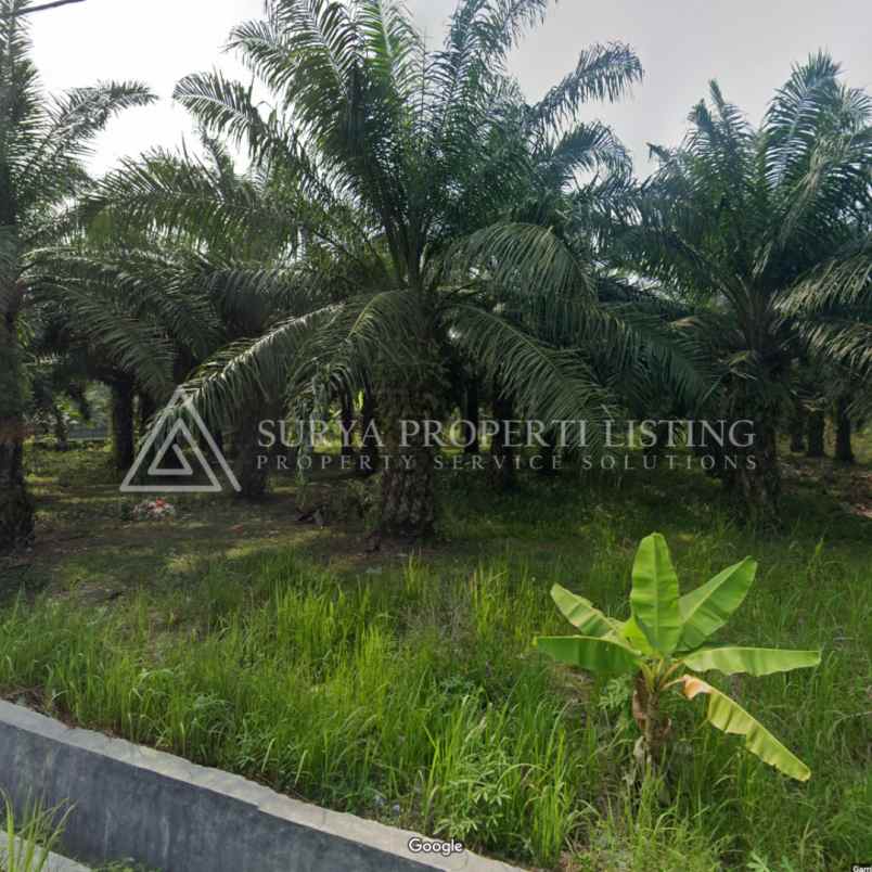 dijual tanah di jalan pinang dua stabat