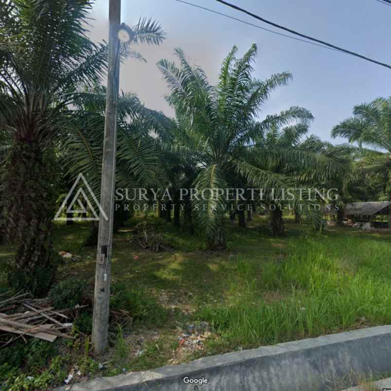 dijual tanah di jalan pinang dua stabat