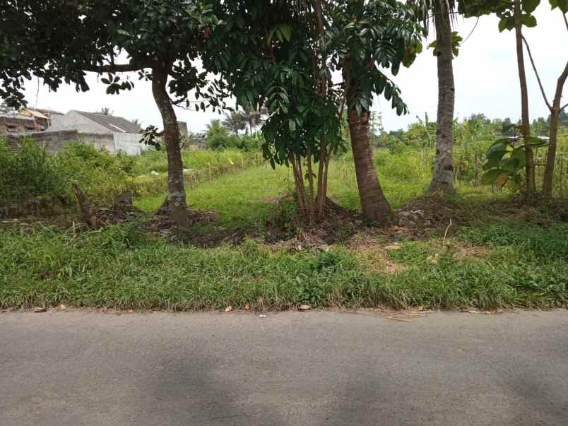 dijual tanah di jl magelang km 13 medari sleman