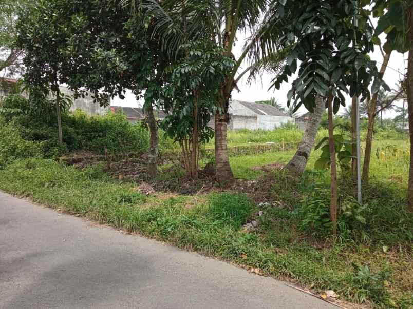 dijual tanah di jl magelang km 13 medari sleman