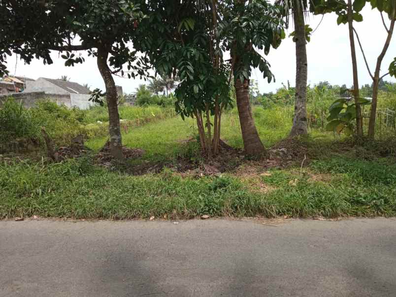 dijual tanah di jl magelang km 13 medari sleman