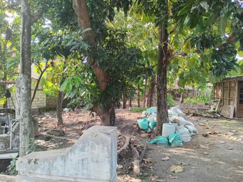 dijual tanah duyungan sragen sidoharjo