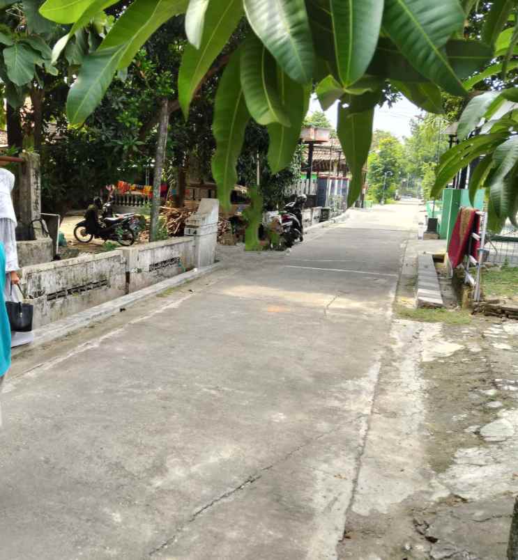 dijual tanah duyungan sragen sidoharjo