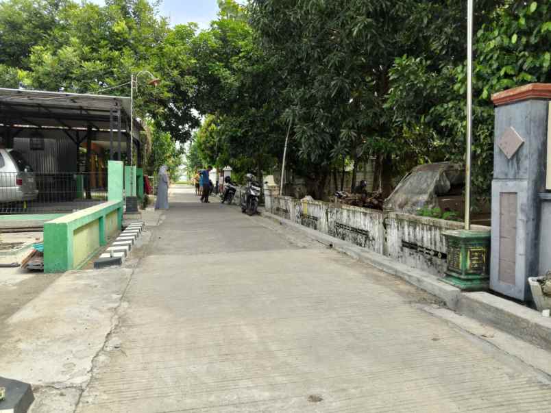 dijual tanah duyungan sragen sidoharjo