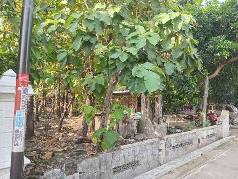 dijual tanah duyungan sragen sidoharjo