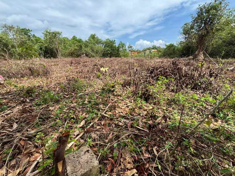 dijual tanah guntung paring