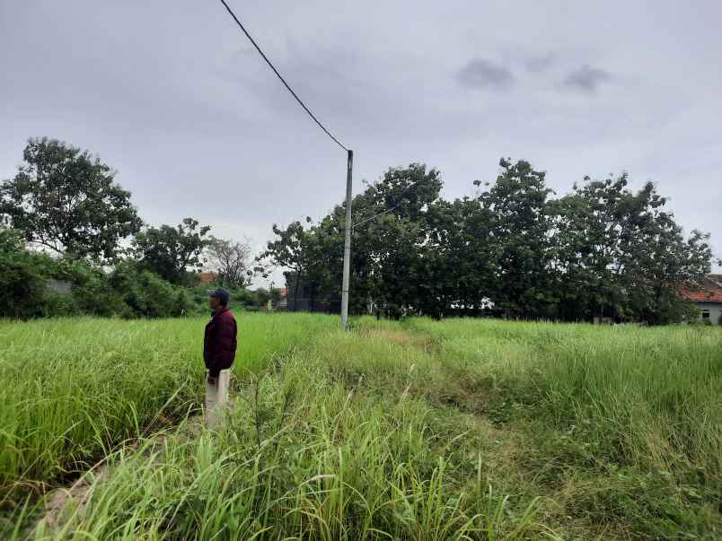 dijual tanah jalan raya pantura widuri