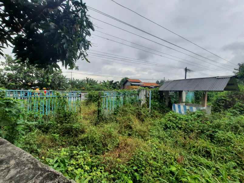 dijual tanah jalan raya pantura widuri