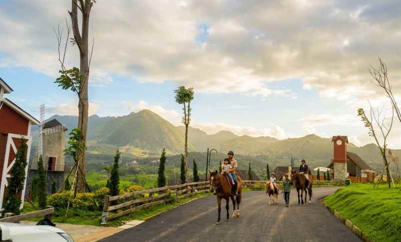 dijual tanah jalan raya puncak dua