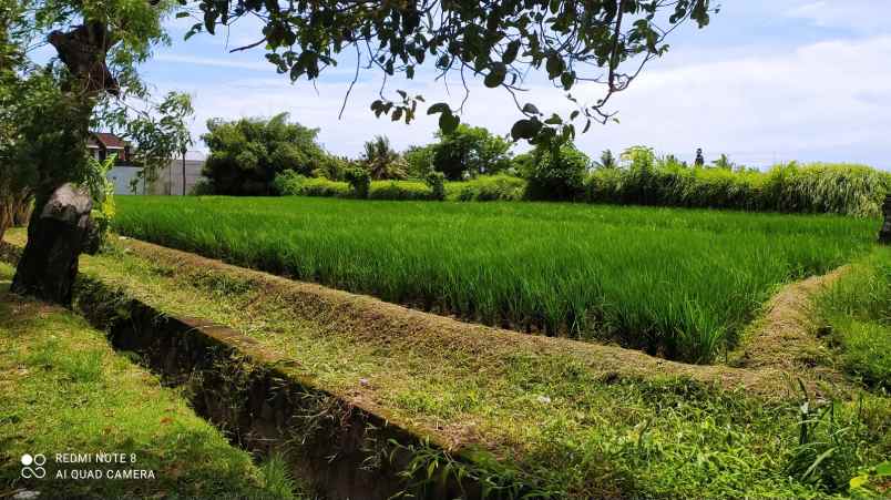 dijual tanah jalan raya sedang