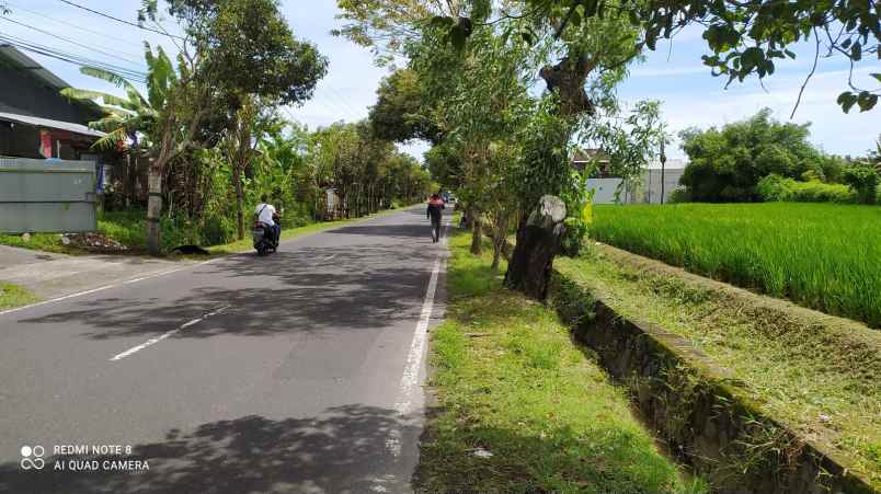 dijual tanah jalan raya sedang