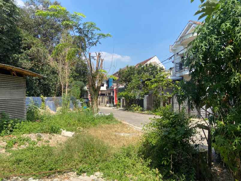 dijual tanah jl cening ampe sukamaju