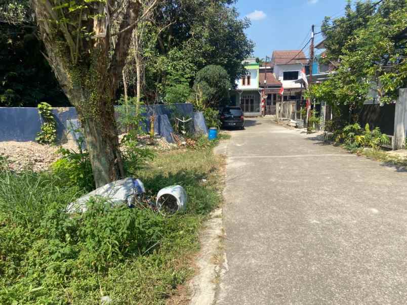 dijual tanah jl cening ampe sukamaju