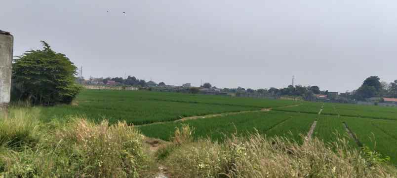 dijual tanah jl lingkar tanjungpura