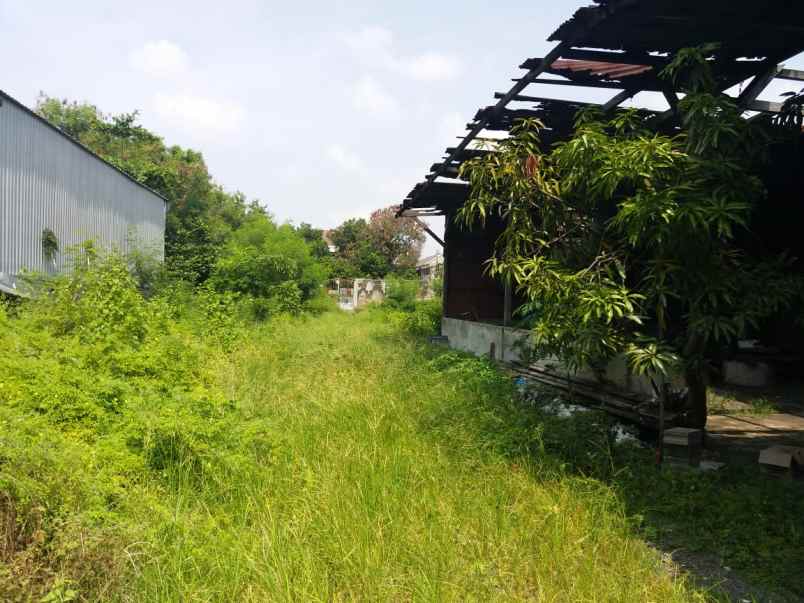 dijual tanah kenjeran