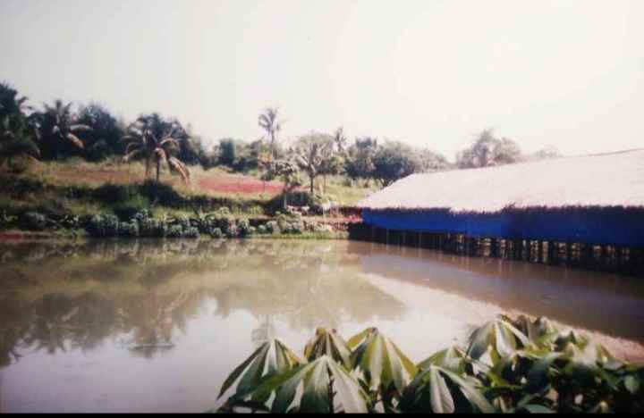 dijual tanah kolam sisi jalan utama