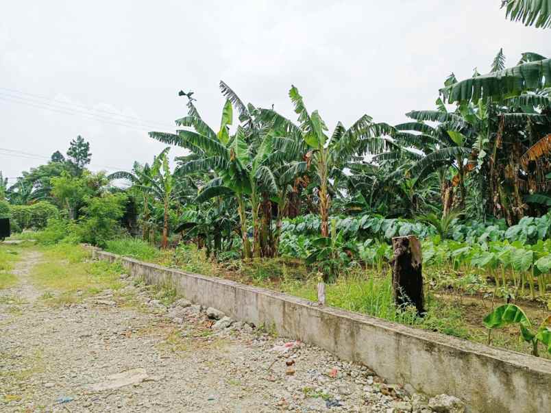 dijual tanah kp karang sambung kel