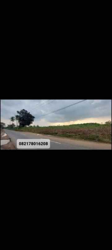 dijual tanah lampung tengah